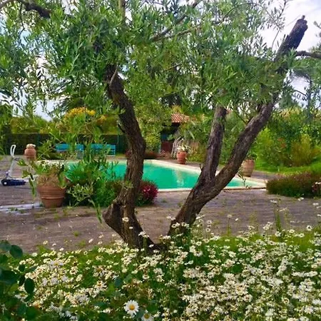 Margarida House